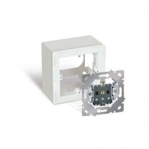 100 10 Channel side or surface mounted Switch and Socket case